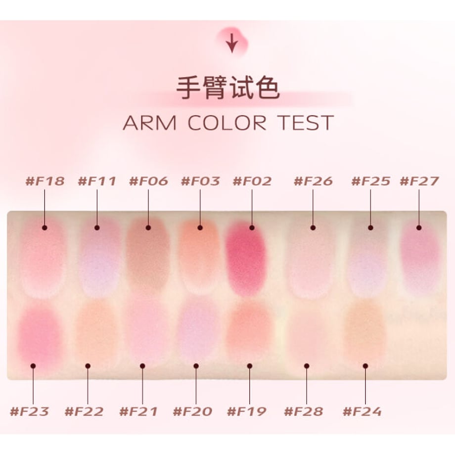 Romantic-Beauty-RMT-Gradient-Blusher-Arm-Color-Test