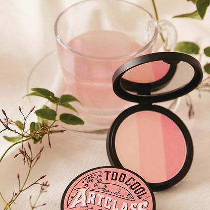 Too-Cool-for-School-Artclass-By-Rodin-Blusher-De-Peche-2